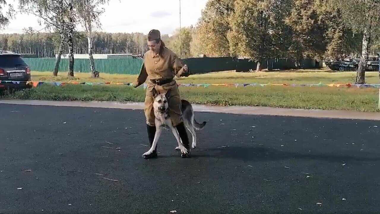 Новости Спортивно Дрессировочной Площадки Ховрино